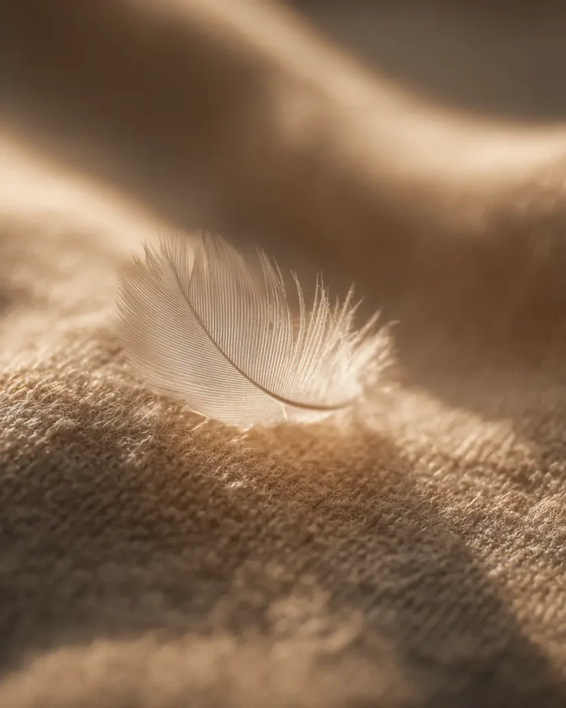 a feather on natural fabric, neutral tones